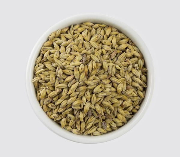 Grain Malt from United States supplied by Muntons - Whole Wheat Malt