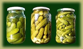 Whole Pickled Gherkin from 인도 supplied by Koeleman India Pvt Ltd - Unspecified 오이 가공품
