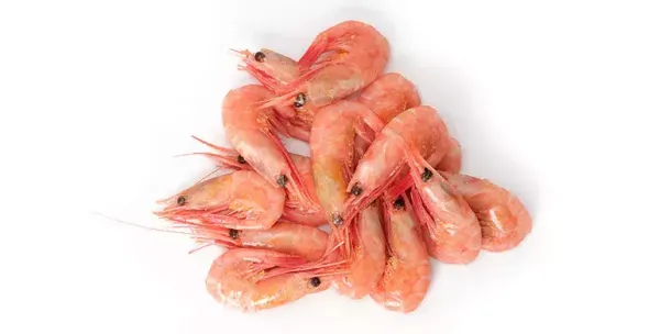 Cold-water Prawns from 영국 supplied by Royal Greenland UK - 해상 냉동 냉동 새우