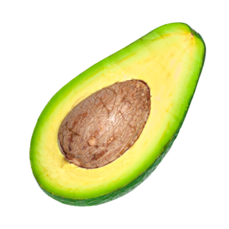 Avocado from 포르투갈 supplied by JBI Group, Lda - Green 신선 아보카도