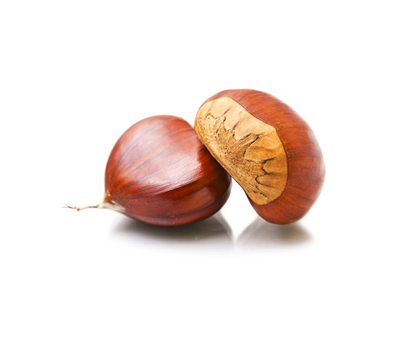 Chestnut from 칠레 supplied by Agricola Mondasol LTDA - Whole 밤 알맹이