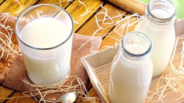 Fresh Cow Milk from United Kingdom supplied by Dairy Crest Direct Ltd - Liquid Cow Milk