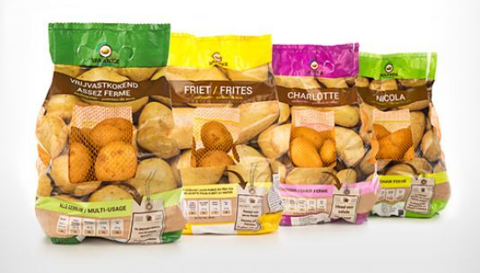 Potato from 벨기에 supplied by Warnez N.V - 베이킹용 신선 일반 감자