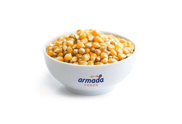 Popcorn from 튀르키예 supplied by Armada Foods - For Food 팝콘 스낵