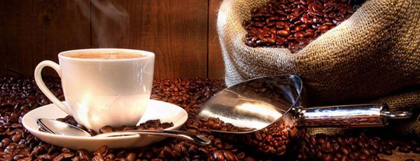 Coffee Bean from 인도 supplied by Popat Raja & Sons - Whole Beans 생원두