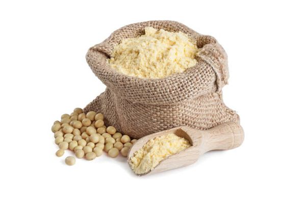 Bean Flour from 나이지리아 supplied by Victor Ojiakor Foods - Bean 기타 분말상품