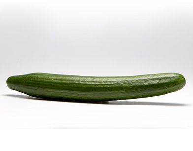 cucumber from United States supplied by DIVINE FLAVOR - Conventional Fresh Cucumber