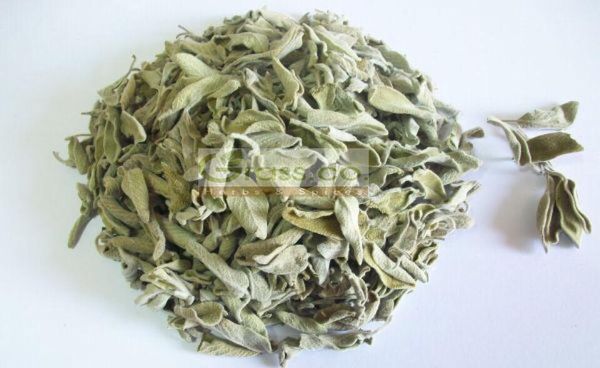 Sage from 이집트 supplied by Grass Co. Herbs and Spices - Conventional 세이지