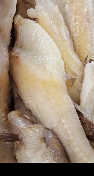 Cod from Norway supplied by ASTRUP LOFOTEN AS - Fresh (=Chilled=Raw) Fresh Cod