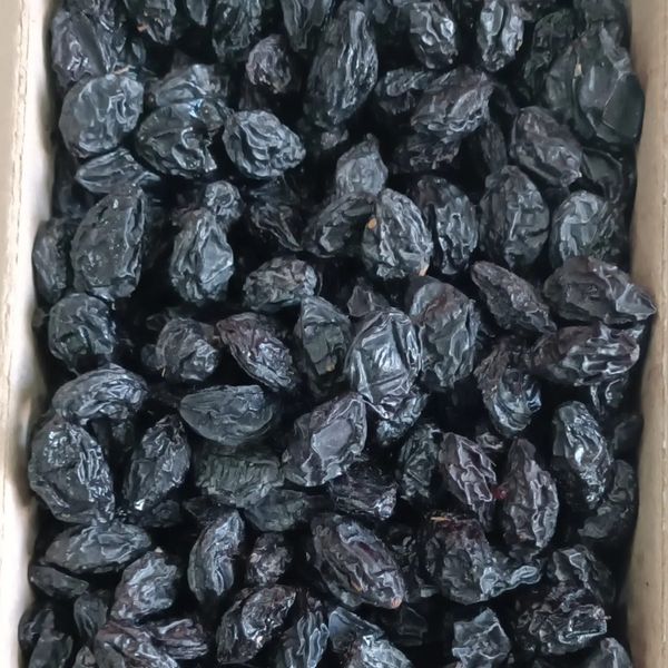 Prune from 튀르키예 supplied by Agrotek Agriculture - Unpitted 프룬