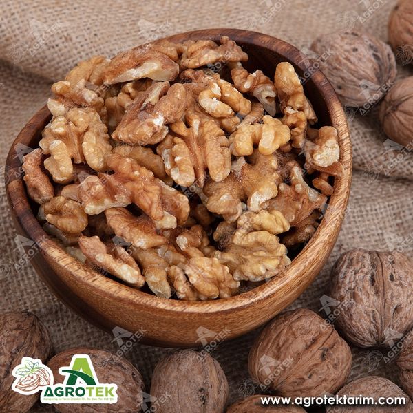 Walnut from 튀르키예 supplied by Agrotek Agriculture - In-shell 생호두