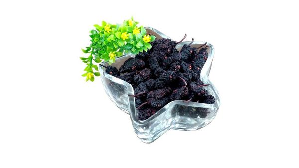 Dried Mulberry from Malaysia supplied by NutShell Superfood Trading Sdn Bhd - Black Mulberry (=Morus nigra) Fresh Mulberry