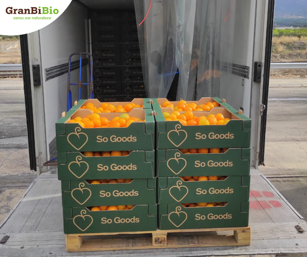 Orange from Spain supplied by GranBiBio Supermercados Ecológicos - Supermarket - Raw Fresh Orange