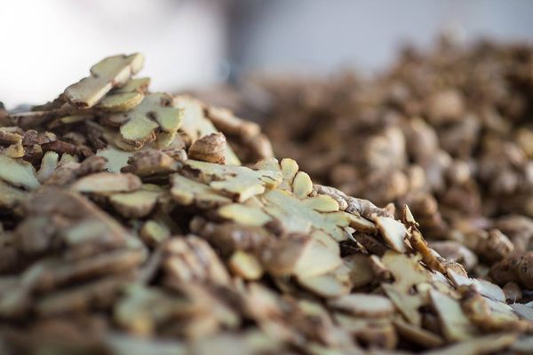 Organic Dried Ginger from Nepal supplied by ORGANIC MOUNTAIN FLAVOR PVT. LTD (OMF) - Sliced Whole Ginger