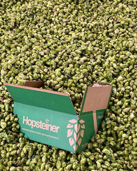 hop from 미국 supplied by HOPSTEINER - Extract 홉