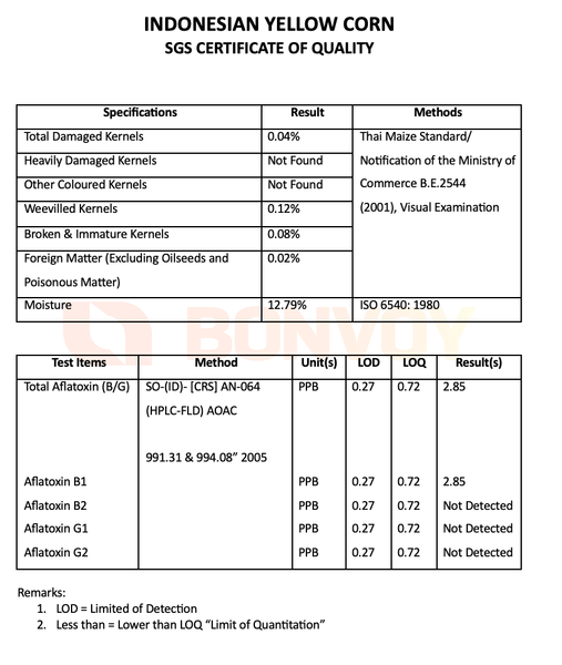 Maize (Corn) from 인도네시아 supplied by PT Bonvoy Commodities International - 옥수수
