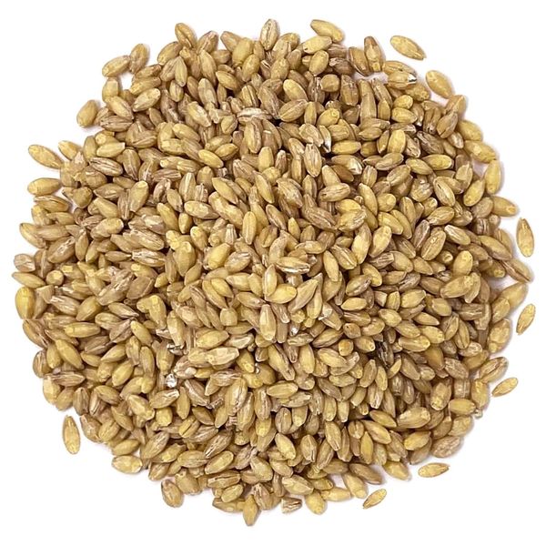 Hulled Barley from 헝가리 supplied by Ferencmajor Ltd. - Hulled 보리