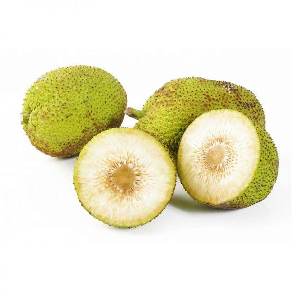 Fresh Breadfruit from Sri Lanka supplied by Suvimie Associates (Pvt) Ltd. - Whole Breadfruit