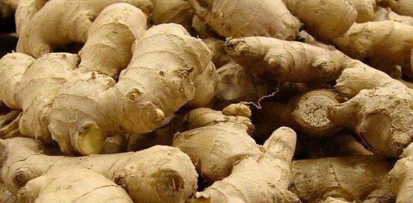 Ginger from 탄자니아 supplied by Natural hub - Good Quality 통생강