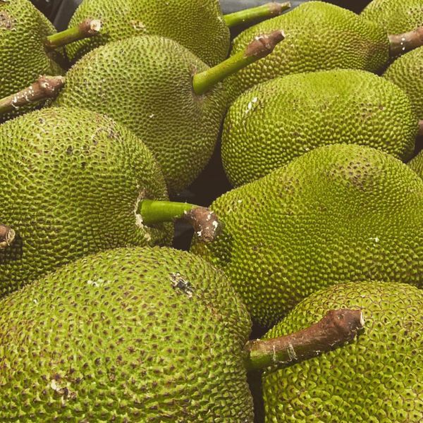 Jackfruit from Netherlands supplied by Sukan Food - Green Jackfruit