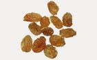 Raisin from United States supplied by Boghosian Brothers - Golden Raisins Raisin (Dried Grape)