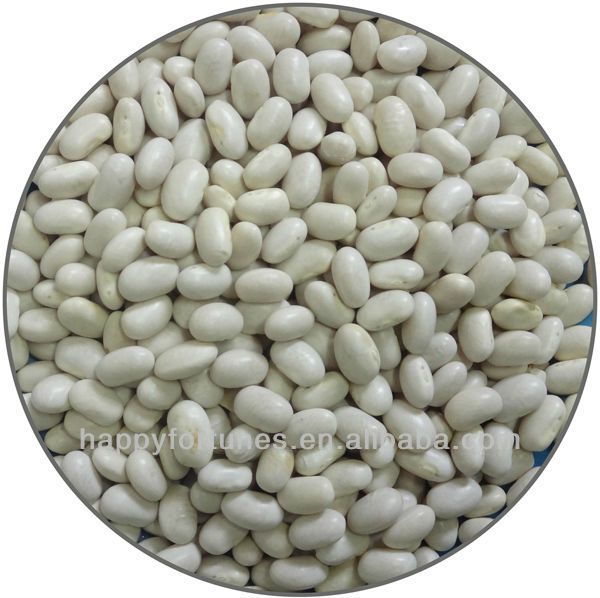 Japanese type White Kidney Beans from 중국 supplied by Dalian Happy Fortunes Trading Co., Ltd. - 카넬리니 말린 강낭콩