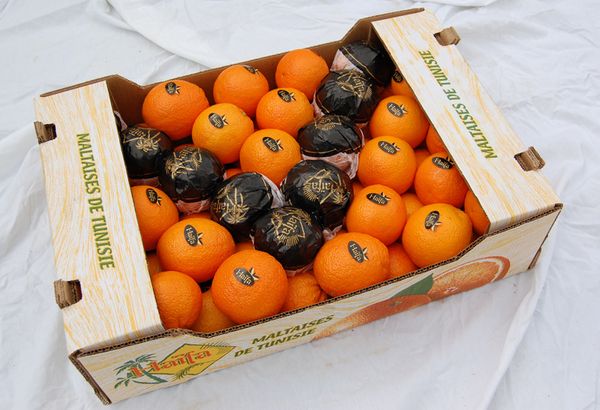 Orange from 튀니지 supplied by HAÏFA DATES - Blood Orange - Maltese 신선 오렌지
