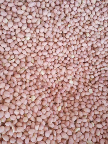 Peanut Kernels from Sudan supplied by CULLINAN IMPORT AND EXPORT - Size: 80-90 Peanut Kernel