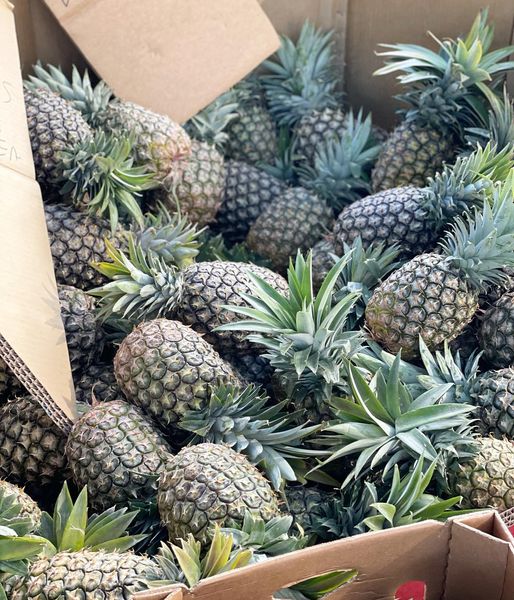 Fresh Pineapple from 말레이시아 supplied by FK SUPPLY - 크라운 포함(=Crowned) 신선 파인애플