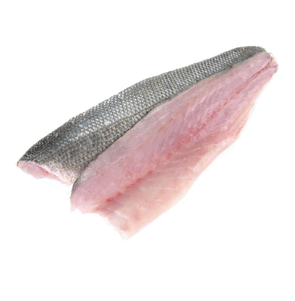 Frozen Sea Bream Fillet from 그리스 supplied by Kefalonia Fisheries - Gilt-head Bream (=Sparus aurata) 냉동 도미