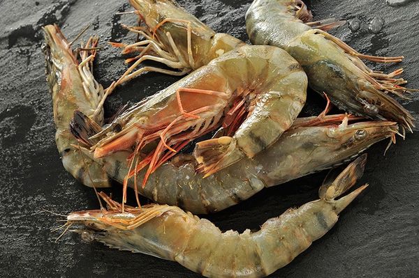 Fresh Shrimp from 영국 supplied by Kevin Stansfield Ltd - Whole 신선 새우
