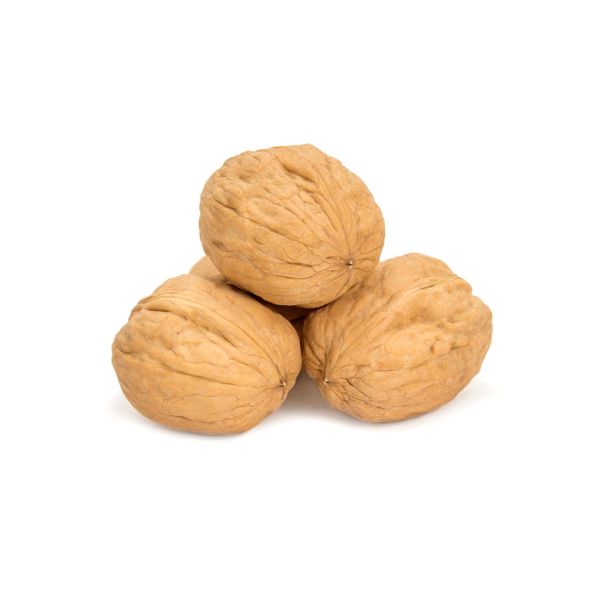 Walnut from 미국 supplied by Shoei Foods USA - In-shell 생호두