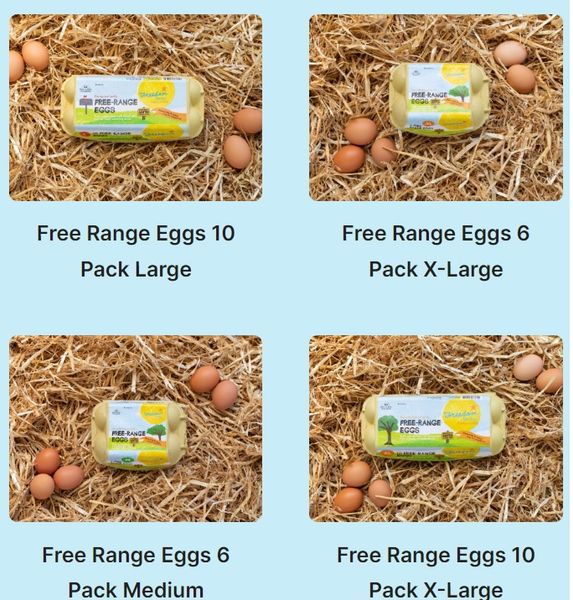 Eggs from 뉴질랜드 supplied by Freedom Farms Ltd - Raw 달걀