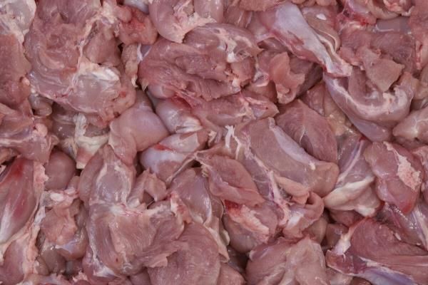 Turkey Wings Meat from Italy supplied by S.A.F. SOCIETA' AVICOLA FIORANESE SRL - With Bone Turkey Meat