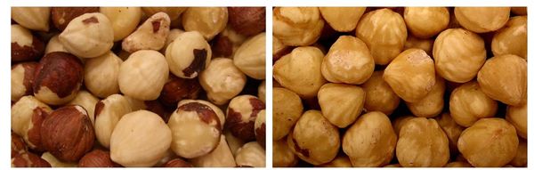 Hazelnut from 독일 supplied by Koenig Backmittel GmbH & Co. KG. - Salted 헤이즐넛 알맹이