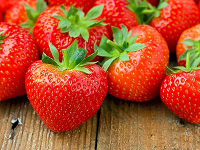 Frozen Strawberries from 이집트 supplied by Danube for Import & Export - PP Bags 신선 딸기