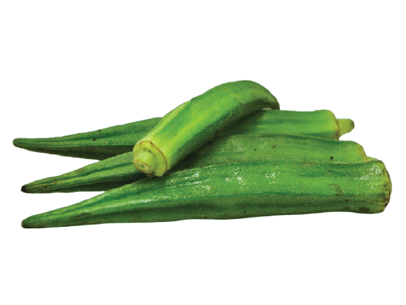 Okra from 케냐 supplied by Ngong Veg Kenya Ltd - Green 신선 오크라