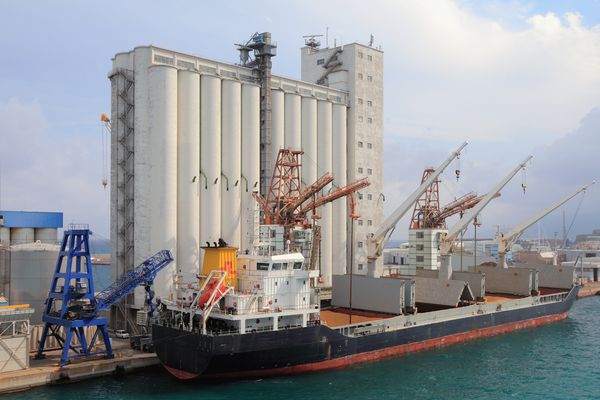 Barley from 러시아 supplied by LLC GSKSM - Hulled 보리