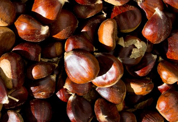 Chesnut from 스페인 supplied by LA CASTAÑITA PLUS - Whole 밤 알맹이