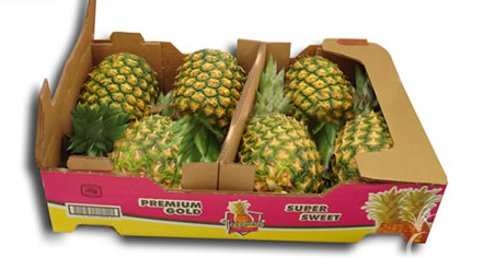 Fresh Pineapple from Mexico supplied by MexWorld Consulting - Carton Box - Open Top Fresh Pineapple