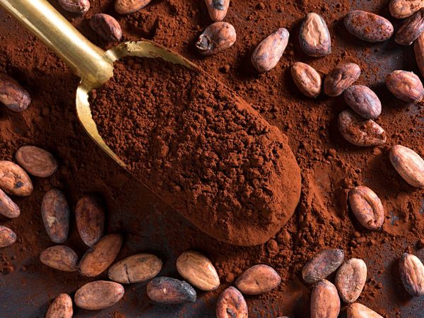 Cocoa Powder from 영국 supplied by EDB Traders International - 원물 코코아 파우더