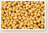 Soybeans from 미국 supplied by EP International Corporation - Conventional 대두