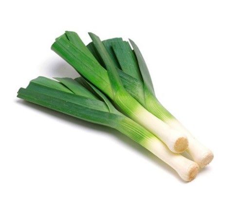 Leek from 스페인 supplied by Medrano Carrot - Green 리크
