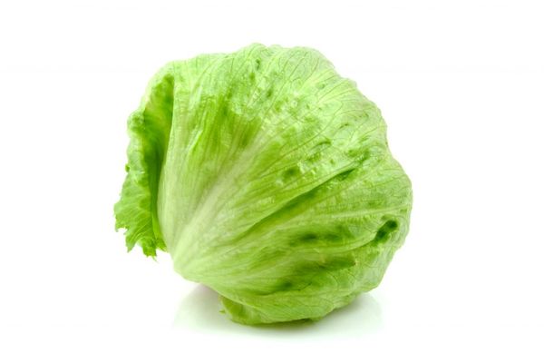 Iceberg lettuce from 스페인 supplied by AGRUPAPULPÍ, S.A. - Green 신선 상추