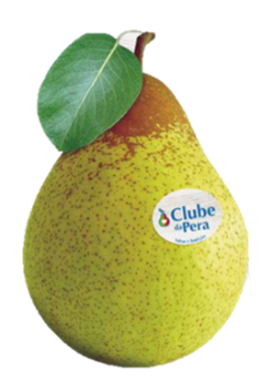 Fresh Pear from Portugal supplied by GRANFER - Fresh (=Chilled) Fresh Pear