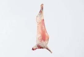 sheep meat from 벨기에 supplied by A. Lonhienne - Frozen 양고기