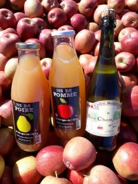 Apple Cider from 프랑스 supplied by Le Verger de l'Arly - Cider 사과주스