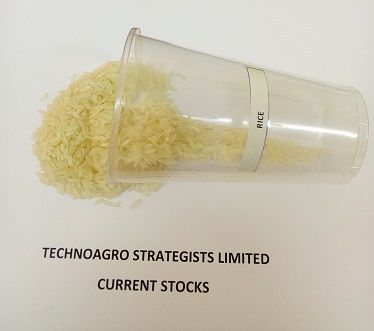 Rice from 탄자니아 supplied by TechnoAgro Strategists Limited. - Rice 주정박