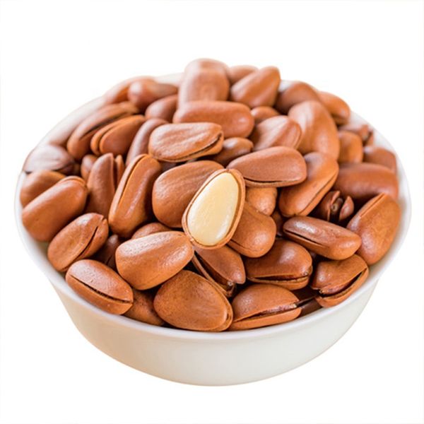 In-shell Pine Nut from Portugal supplied by PINEFLAVOUR, Lda. - In-shell Pine Nut