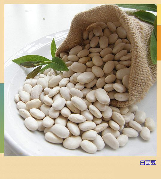White Beans from China supplied by Dalian Xinyi Organics Co.,Ltd. - White White Beans